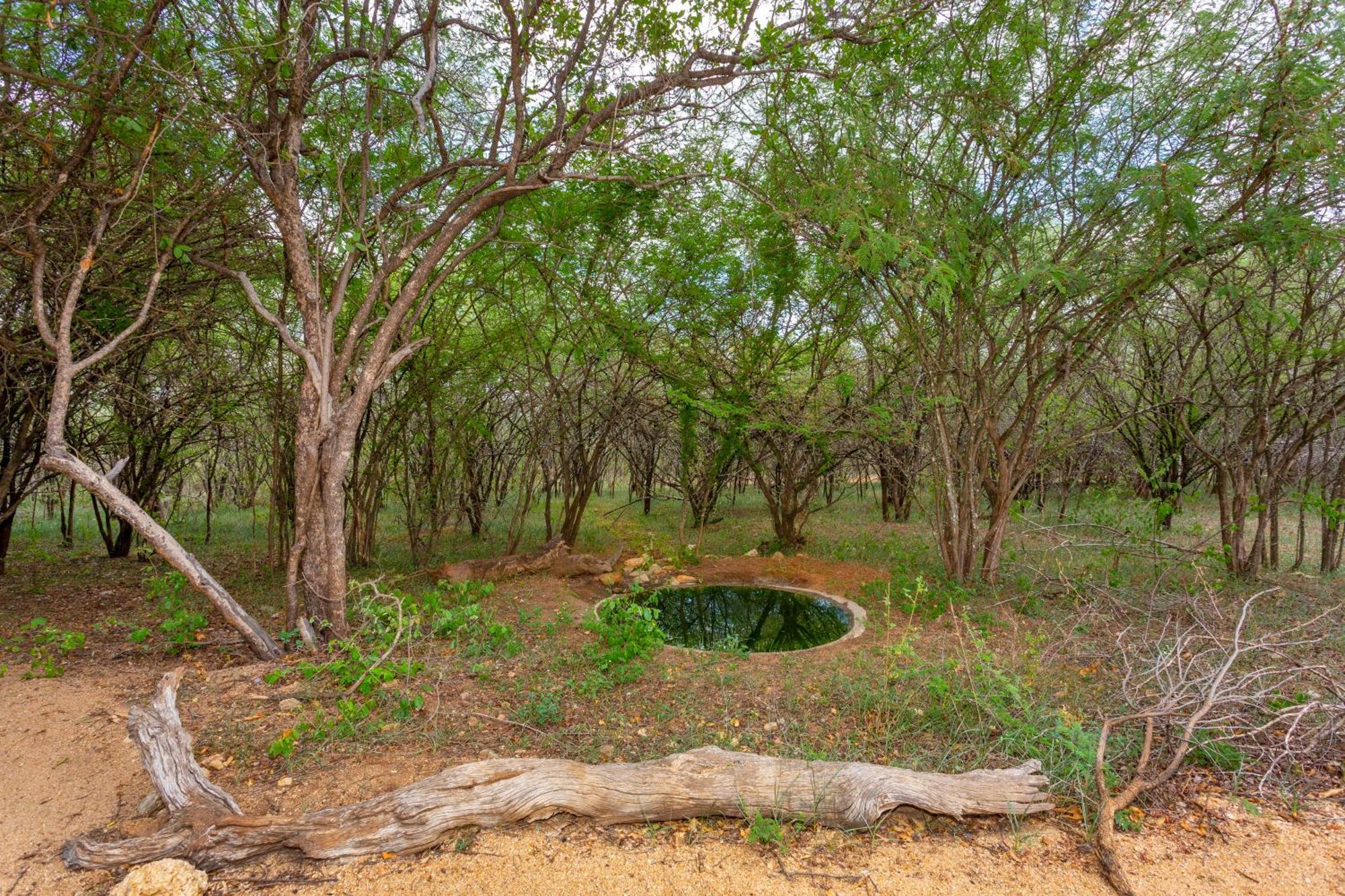The Bush House Villa Hoedspruit Dış mekan fotoğraf